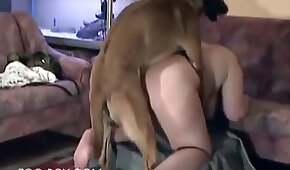 maduro,sexo de cachorro