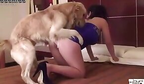 mulher e animal
